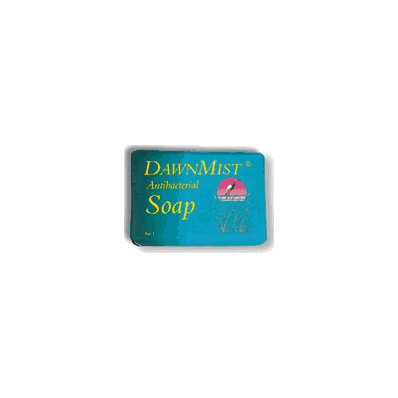Anti-Bacterial Deodorant Bar Soap