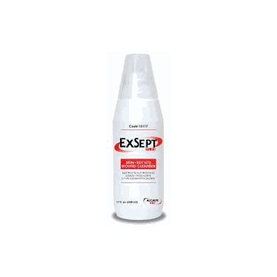 Antiseptic Exsept Plus 250 Ml Spray - Antise