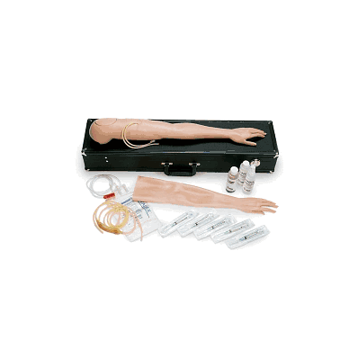 Arm, Multi Venous Training, Female - Medline