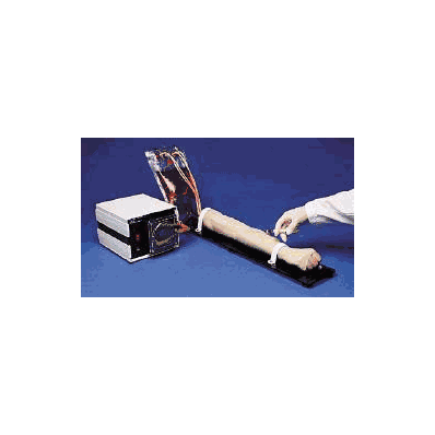 Arterial/Venous Training Arm - Training Arm,