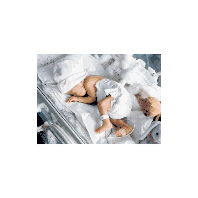 Bed Mattress Porta-warm 10 X 18 Inch - Mattr