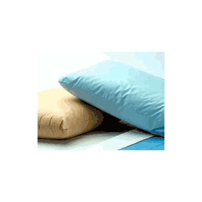 Bed Pillow Careguard 21 W X 27 L Inch Blue R