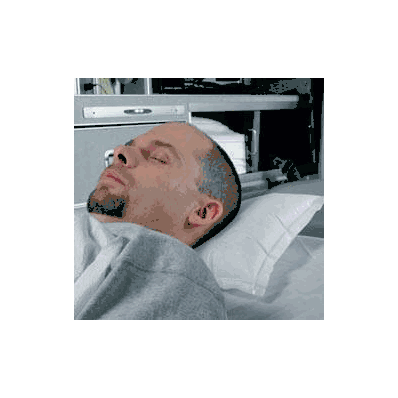 Bed Pillow Flexair 10.5 W X 14.5 L Inch Whit