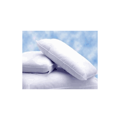 Bed Pillow Personal Pillow 17 W X 22 L Inch W