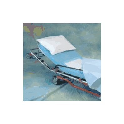BedDing Instakit, Disp Std W/Underpad (25/Cs)