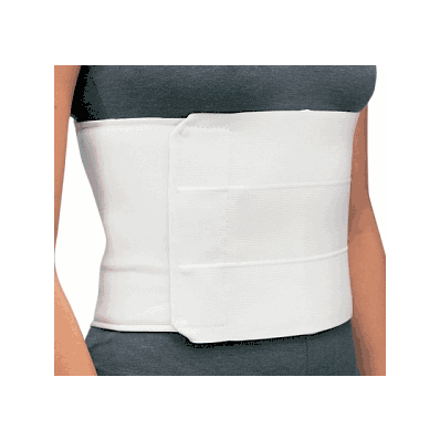 Belt, Rib, 8", Univ, Ladies