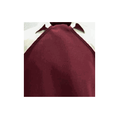 Bib Avila Taper Lock Reusable 100% Polyester