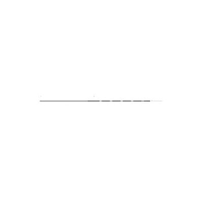 Biliary Guidewire X Wire 0.025 Inch Od 450 C