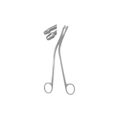 Biopsy Forceps Punch Type Curved 8-1/2 Inch -
