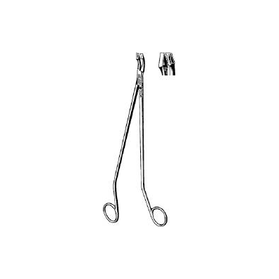 Biopsy Punch Forceps Schubert Scissor Type An