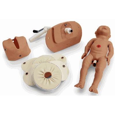 Birthing Mechanism, Medium