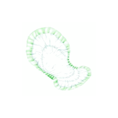 Bladder Control Night Pad Tena Dry Comfort M