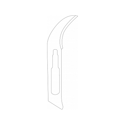 Blade, Surgical, Stainless, #12, Sterile -