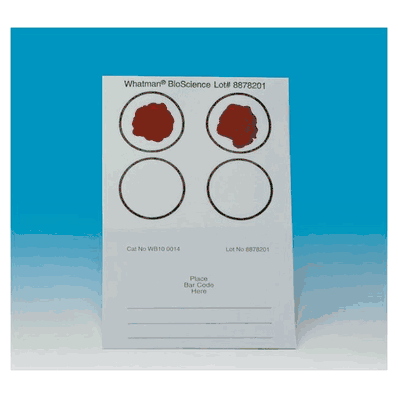Blood Stain Card, 125 micron Four Sample Areas