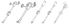 Extension Set, <b>12" DEHP-Free</b> Mic-Key Bolus Extension Set with Cath Tip, SECUR-LOK Right-Angle Connector and Clamp (5/Bx) by Kimberly-Clark<br>This replaces 0224-12 <br><br><FONT COLOR="RED">BACK TO THE PRODUCT TABLE,</FONT> <a href="http://www.aaawholesalecompany.com/nutritionals-and-feeding-supplies-accessories-mic-key-feeding-tube-accessories-by-kimberly-clark.html">CLICK HERE</a>