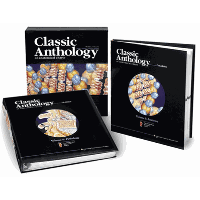 Book Anthology Of Anatomical Charts