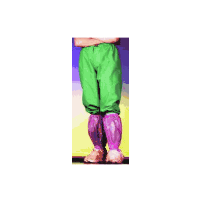 Boot Cover, One Size Fits Most, Knee-High, color: Purple