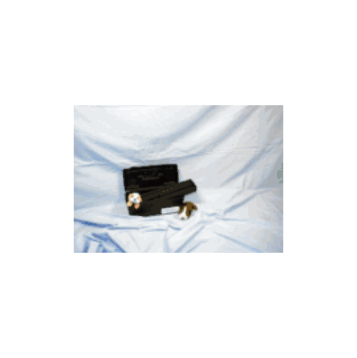 Box Style, 2 compartments, color - black 13"