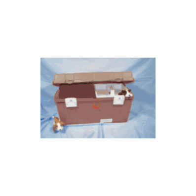 Box Style, 2 compartments, color - grey, oran