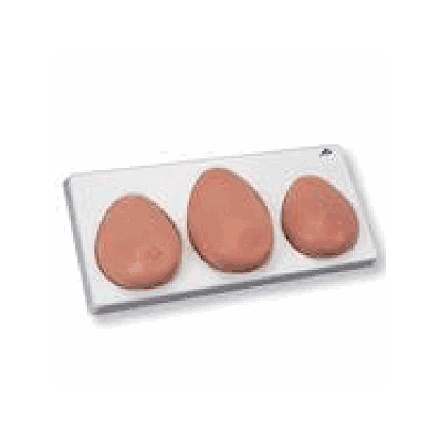 Breast Exam Model, 3 Piece
