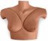 Breast Phantom Simulator, Medium, sold as each by Gaumard brand Nasco SB48847M<br><br><font color="red"><b>BACK TO THE PRODUCT TABLE, <a href="https://www.aaawholesalecompany.com/nasco-nursing---medical-simulation-breast-phantom-simulator.html">CLICK HERE</a></b></font>