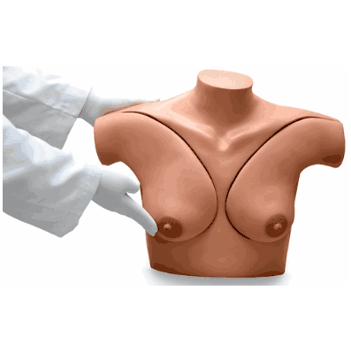 Breast Examination Medium
