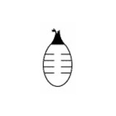 Bulb Suction Reservoir J-vac 100ml - Reservo