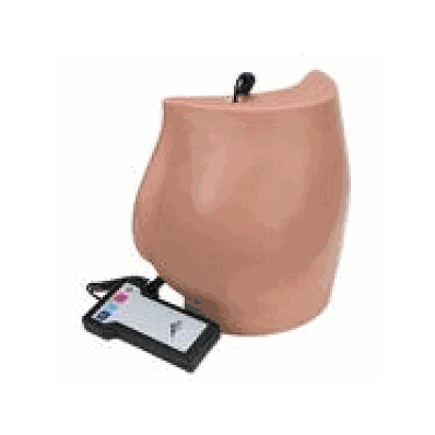 Buttock Injection Simulator