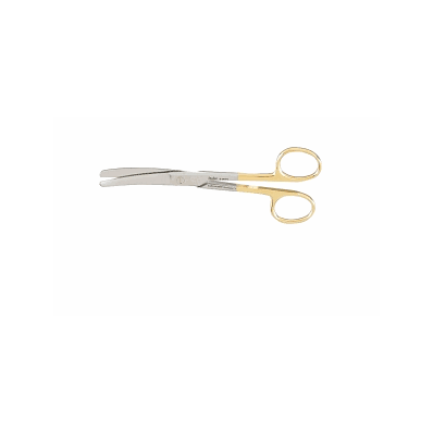 C-n-s Scs 5.5 Cvd B / B