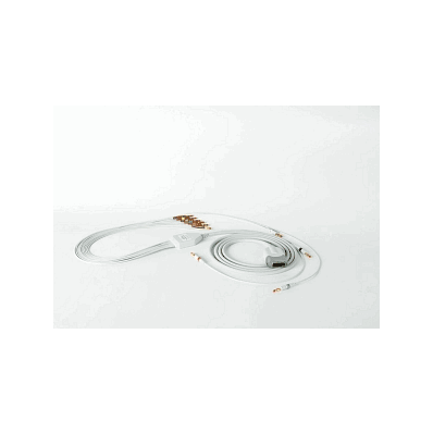 Cable, Patient, Ecg, 10-lead, Aha - Medline
