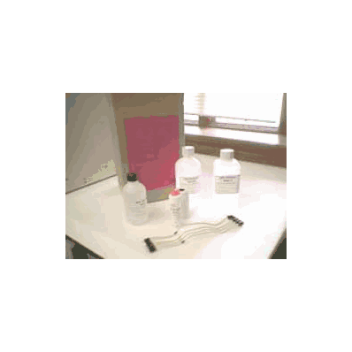 Calibrator Chemistry Kit 4 X 0.3 Ml Ds5 Hba1c