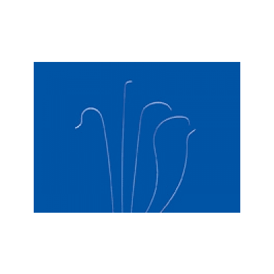 Catheter, Angio, Hnb5.0-38-40-p-ns-kmp
