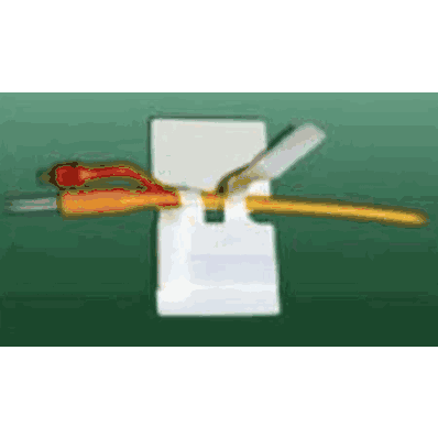 Anchoring Device Cath-secure Dual Tab - Cath