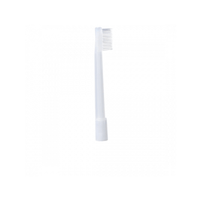 Catheter, Oral, 6fr, Neo, Ready Care, Clsd