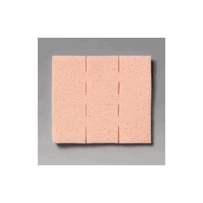 Cavity Wound Filler Wic 3 X 3 Inch - Wound F