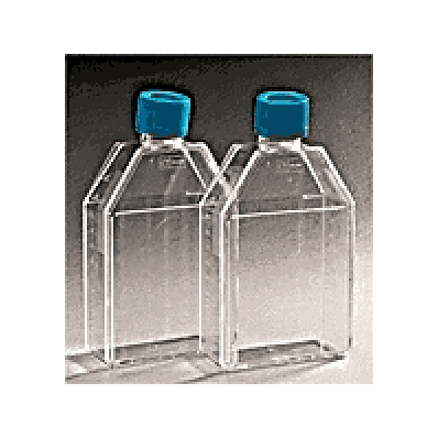 Cell Culture Flask By Becton Dickinson - Flas