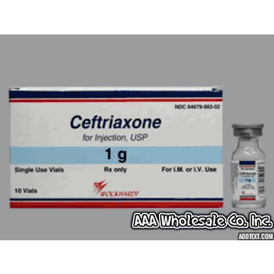 Cephalosporin, Ceftriaxone Sodium Intramusc
