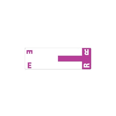 Chart Label Alphaz Tab E & R Purple, White 1