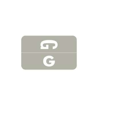 Chart Label Barkley Tab G|G Gray 1 X 1-5/8