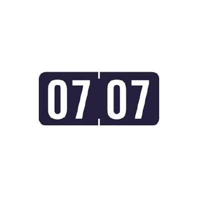 Chart Label Tab 07|07 Purple 1/2 Inch - Lab