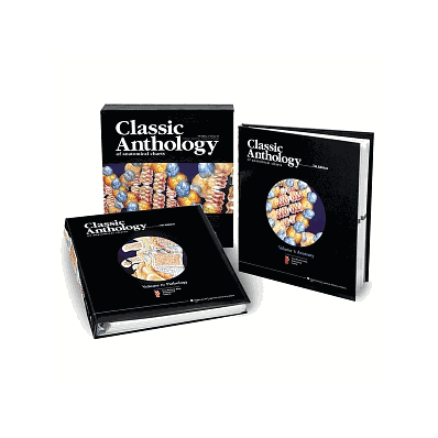 Charts, Anthology, Anatomical - Medline