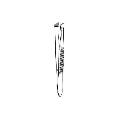 Cilia Forceps Bergh Tweezer Type Straight 3-1