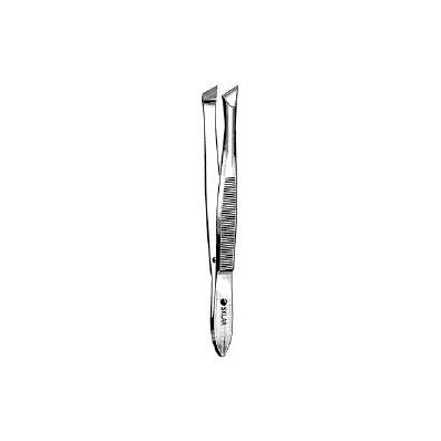 Cilia Forceps Bergh Tweezer Type Straight 3-1