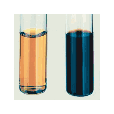 Citrisolv Clearing Agent By Fisher Scientific
