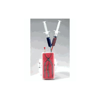 Clear Skin Iv Trainer Life/form - Trainer, L