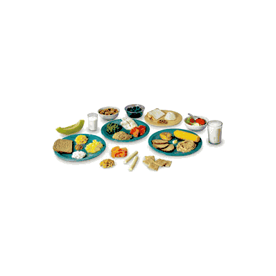 Common Meals Kit, Offers the opportunity to