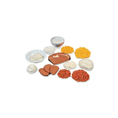 Comparison Kit, Food Portion - - Nasco