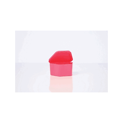 Container, Denture, Hot Pink, Cup - Medline