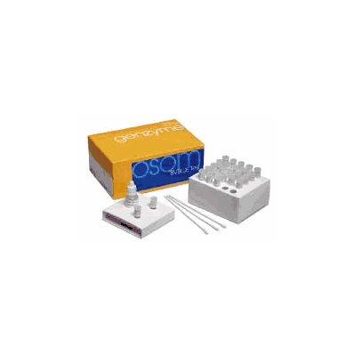 Control Kit, Bacterial Vaginosis