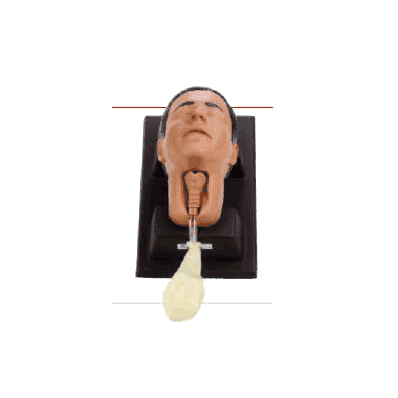 Cricoid Stick Trainer - Trainer, Cricoid Stic